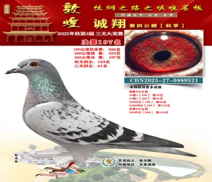 敦煌诚翔决赛197名