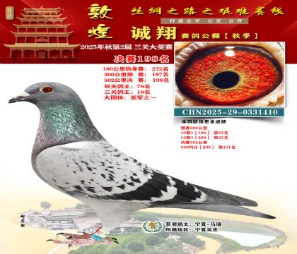 敦煌诚翔决赛198名