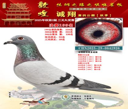 敦煌诚翔决赛199名