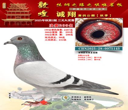 敦煌诚翔决赛200名