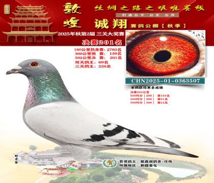 敦煌诚翔决赛201名