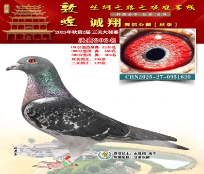 敦煌诚翔决赛202名