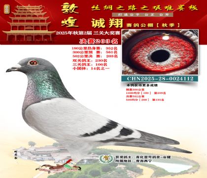 敦煌诚翔决赛203名