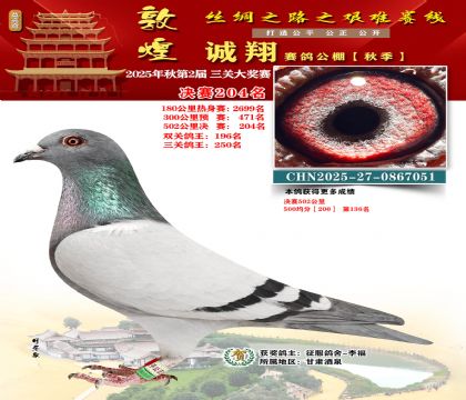 敦煌诚翔决赛204名