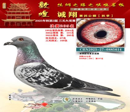 敦煌诚翔决赛205名