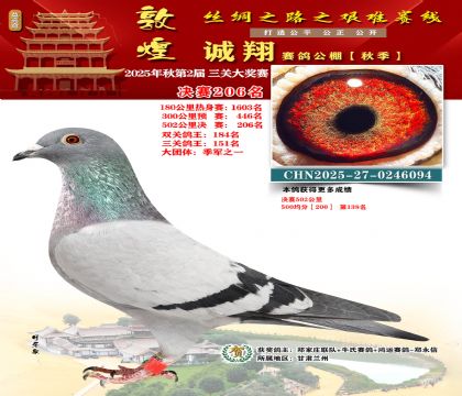 敦煌诚翔决赛206名