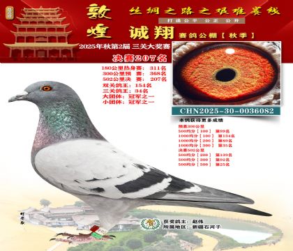 敦煌诚翔决赛207名