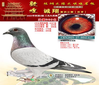 敦煌诚翔决赛208名