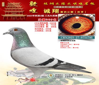 敦煌诚翔决赛209名