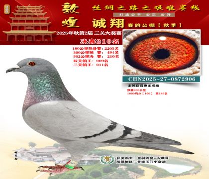 敦煌诚翔决赛210名