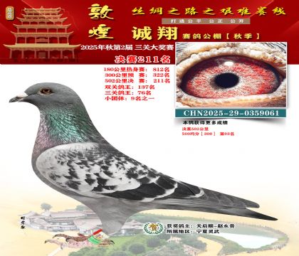 敦煌诚翔决赛211名