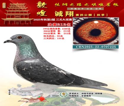 敦煌诚翔决赛212名