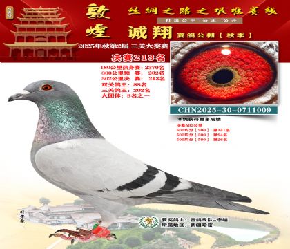 敦煌诚翔决赛213名