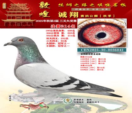 敦煌诚翔决赛214名