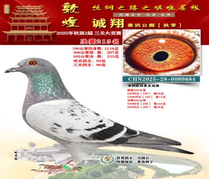 敦煌诚翔决赛215名