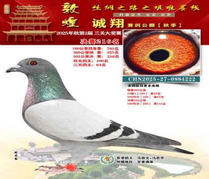 敦煌诚翔决赛216名