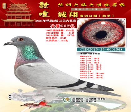 敦煌诚翔决赛217名