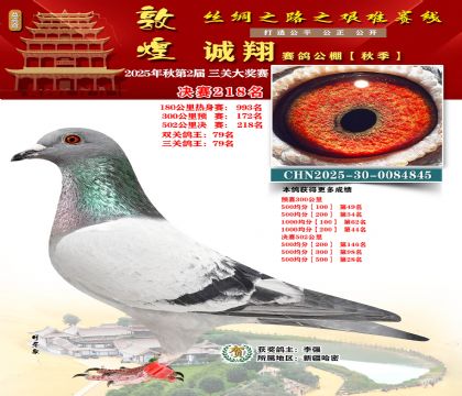 敦煌诚翔决赛218名