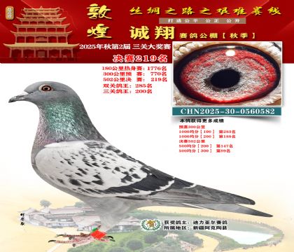 敦煌诚翔决赛219名