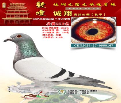 敦煌诚翔决赛220名