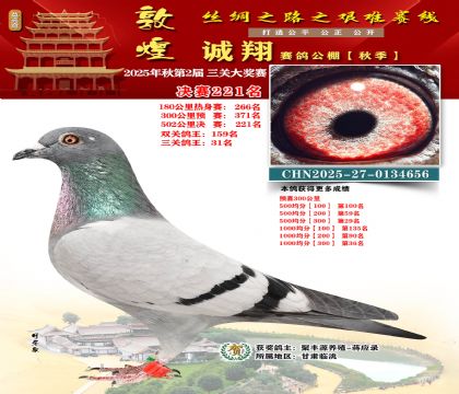 敦煌诚翔决赛221名