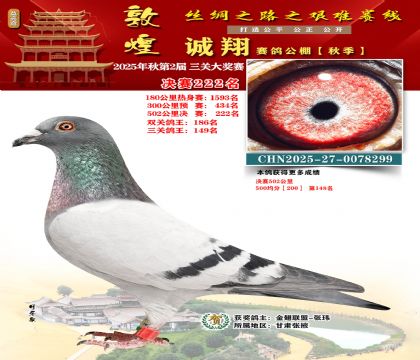 敦煌诚翔决赛222名