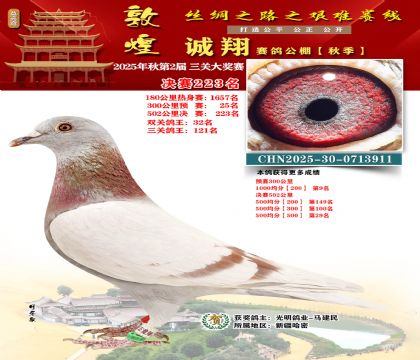 敦煌诚翔决赛223名