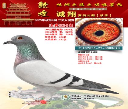 敦煌诚翔决赛224名