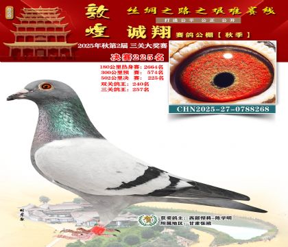 敦煌诚翔决赛225名