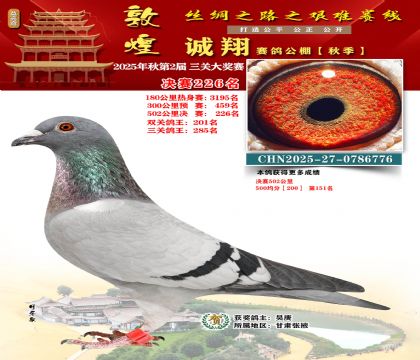 敦煌诚翔决赛226名