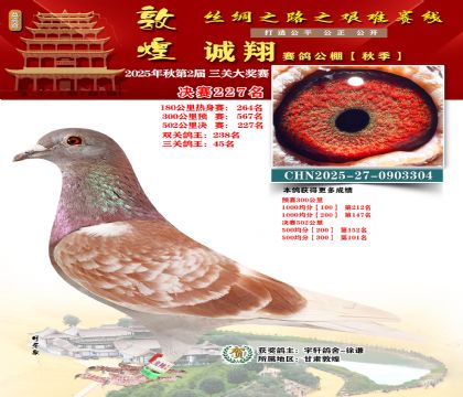 敦煌诚翔决赛227名