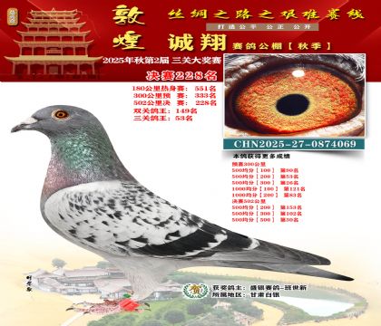 敦煌诚翔决赛228名