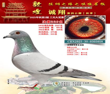 敦煌诚翔决赛229名