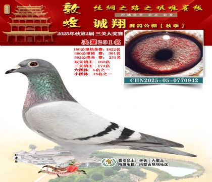 敦煌诚翔决赛231名