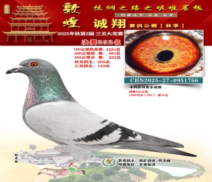 敦煌诚翔决赛232名