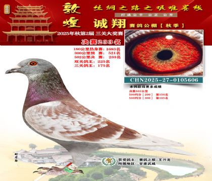 敦煌诚翔决赛233名