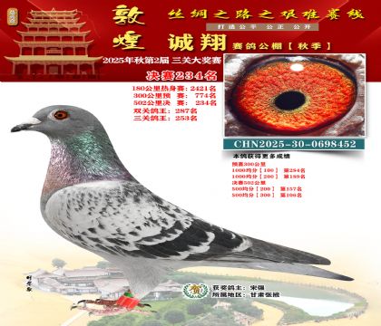 敦煌诚翔决赛234名