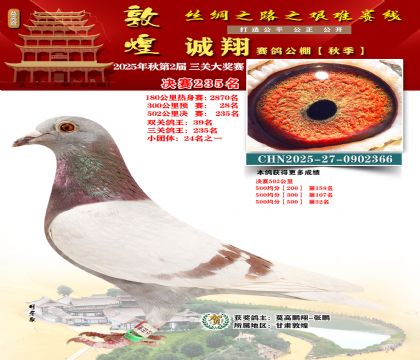 敦煌诚翔决赛235名