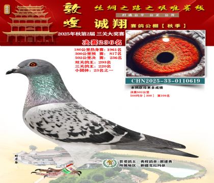 敦煌诚翔决赛236名