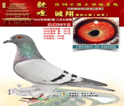 敦煌诚翔决赛237名