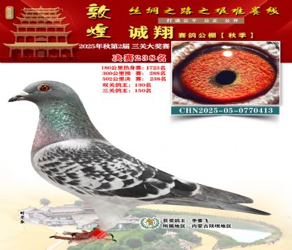 敦煌诚翔决赛238名