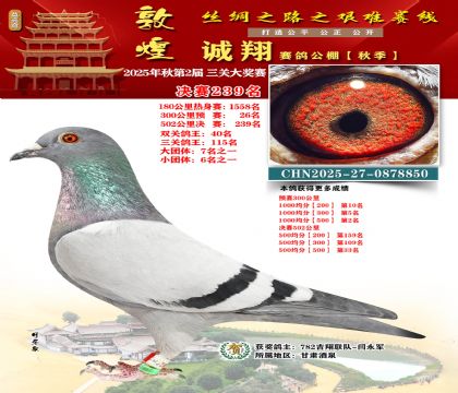 敦煌诚翔决赛239名