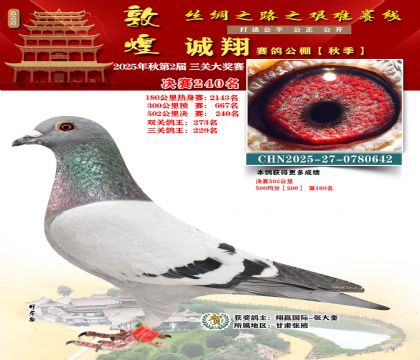 敦煌诚翔决赛240名