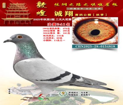 敦煌诚翔决赛241名