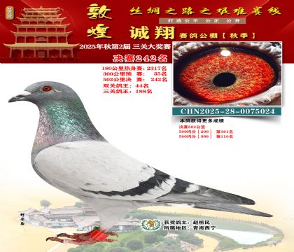 敦煌诚翔决赛242名