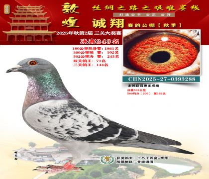 敦煌诚翔决赛243名