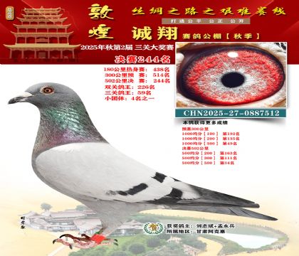 敦煌诚翔决赛244名