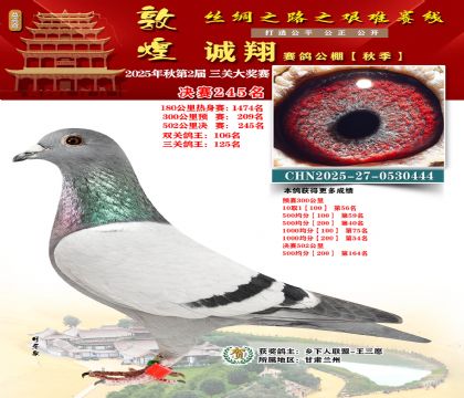 敦煌诚翔决赛245名