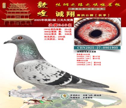 敦煌诚翔决赛246名