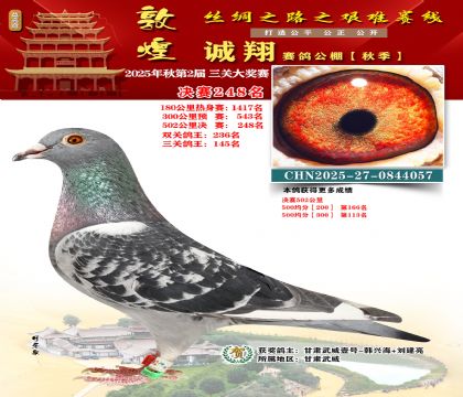 敦煌诚翔决赛248名